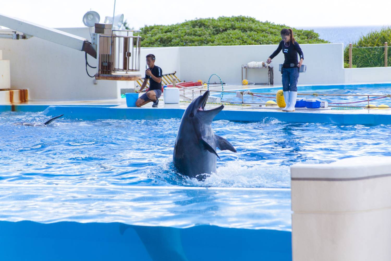 美之島觀光巴士一日遊（C路線）｜美麗海水族館、古宇利島、御菓子御殿、萬座毛、美國村