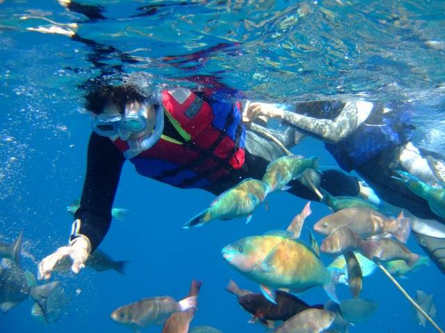 【北部出發】美麗海水族館附近！瀬底海灘進行船浮潛