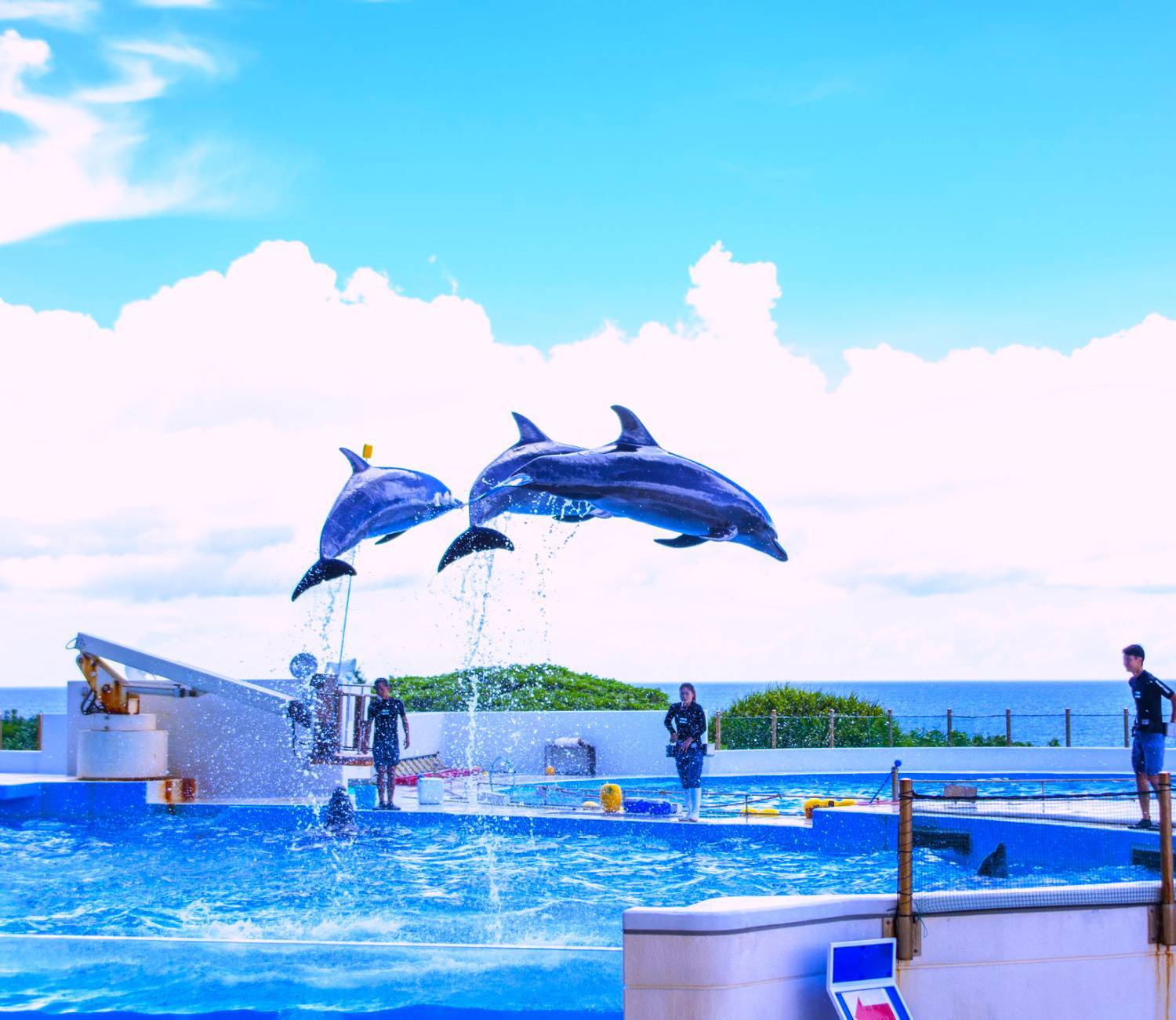 美之島觀光巴士一日遊（Ａ路線）｜美麗海水族館、御菓子御殿、萬座毛、琉球村、星野集團Banta Cafe