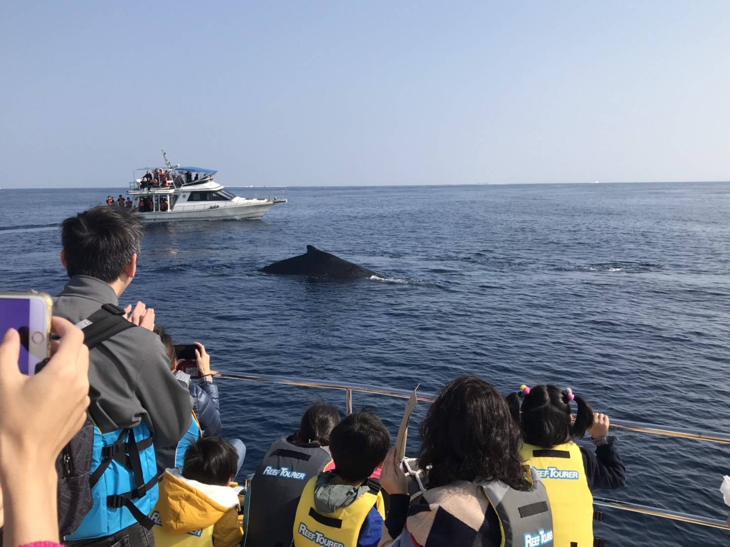 那霸・北谷出發｜＜官網限定：贈送沖繩特色名菓！＞出海賞鯨活動