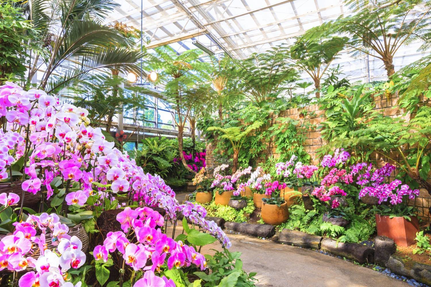 美之島觀光巴士一日遊（B路線）｜熱帶植物園、御菓子御殿、萬座毛、琉球村、星野集團Banta Cafe