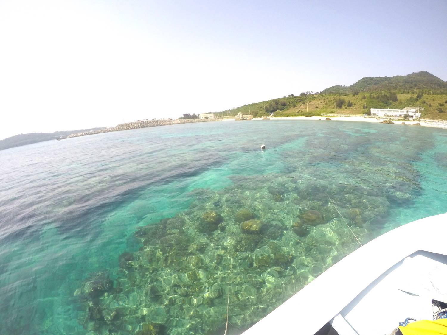 【北部出發】美麗海水族館附近！瀬底海灘進行船浮潛