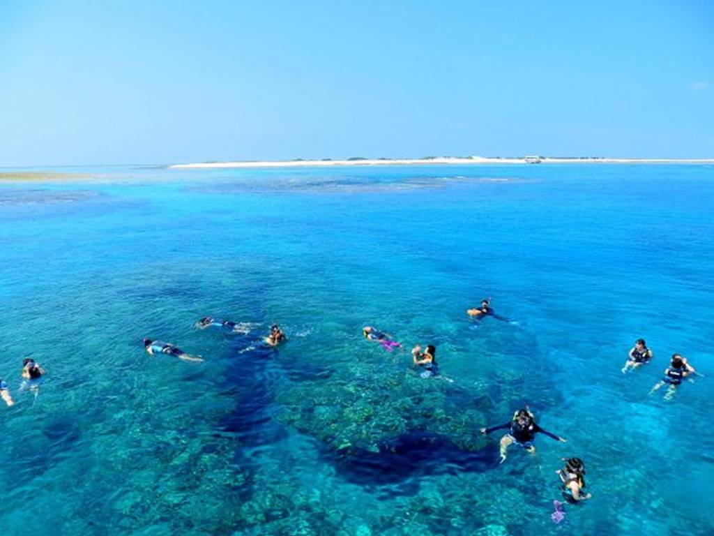 [那霸市區接送] 慶良間群島｜半日體驗｜浮潛(附魚餌體驗)